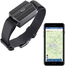 Winnes: Rastreador GPS para Mascotas