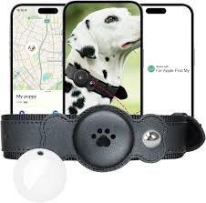 Collar GPS Impermeable para Perros - Monitor de Actividad